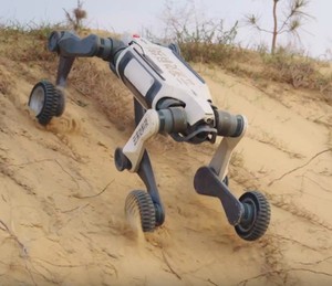 M20pro thiết kế thông minh Robot chó đa chức năng kiểm tra điện tử Robot Chó Đồng hành Robot - Product Image 4