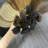 Extensiones de Cabello de Queratina Remy Ruso Double Drawn con Cutícula Alineada U Flat I Tip 100% Humano al por Mayor para Salón