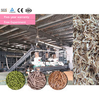 Ligne de production de granulés de biomasse WINWORK, machine de fabrication de granulés à partir de coques de palmiste, copeaux de bois et sciure de bois, fournisseur d'usine