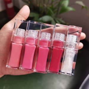 <span class=keywords><strong>2025</strong></span> nóng bán màu hồng nắp 5 ml son bóng không thấm nước thuần chay nhãn hiệu riêng mờ sáng bóng tự làm lỏng son môi bóng - Product Image 2