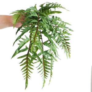 Fabricant de plantes artificielles : Plantes succulentes réalistes et abordables pour la décoration intérieure, stores élégants, volets et fougères artificielles. - Product Image 2