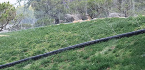 <span class=keywords><strong>Tuyau</strong></span> de pluie en plastique LDPE robuste de 63 et <span class=keywords><strong>75</strong></span> <span class=keywords><strong>mm</strong></span> pour système d'irrigation automatique pour l'agriculture et le jardin - Product Image 4