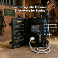Dispositivo Veterinario Portátil de Terapia de Ondas de Choque Enfocadas para la Curación Muscular Equina y Fisioterapia Veterinaria