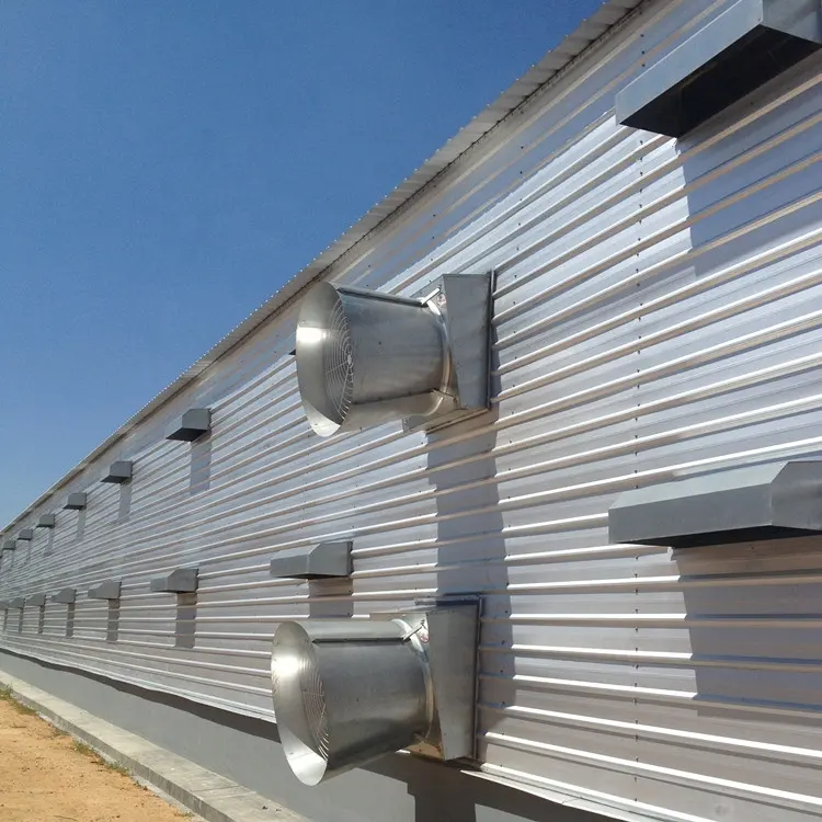 Bâtiments de ferme de volaille, couche et bouilleur, design de maison de poulet