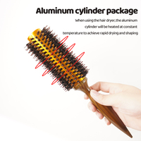Poils de sanglier et brosse en Nylon cheveux Styler lissage cuir chevelu masseur peigne queue de Rat résistant à la chaleur mode peigne à cheveux ensemble