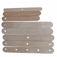 Bâtonnets de crème glacée en bois de bouleau perforés NEWELL, écologiques, assemblés à la main, pour sucettes glacées maison