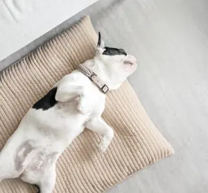 カスタマイズされた屋外ミニマリストスタイルの高級ファッションペットパッドマット犬猫眠っているペットパッドペットベッド