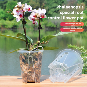 <span class=keywords><strong>2025</strong></span> 새로운 도착 투명 보육 냄비 4 인치 다양한 식물에 이상적인 구멍 - Product Image 3