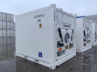 20ft Koelkast Reefer Thermo King Vriezer Container Voor Het Vervoer Van Fruit Vlees En Zeevruchten.