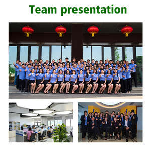 Bus électrique touristique personnalisé à batterie au lithium pour 20 passagers - Product Image 6