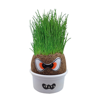 Poupée à tête d'herbe décorative DIY Plante pour enfants Jardin intérieur Balcon Plantation Vase Pot de fleur Jouet Cadeau
