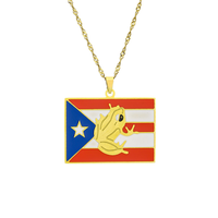 Collier tendance en acier inoxydable couleur acier avec pendentif drapeau national et contour de la carte de Porto Rico – Cadeau souvenir