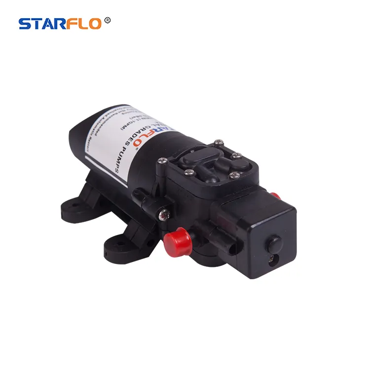 Small DC Electric High Pressure Agricultural Sprayer Pump Agricultural Fight Drug Pump