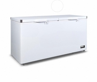 Congélateur horizontal à ouverture supérieure en métal blanc Congélateur commercial profond pour cuisine de restaurant