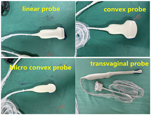 شاشة Sunbright ، 15 بوصة محمولة ، B-للحيوانات - Product Image 6