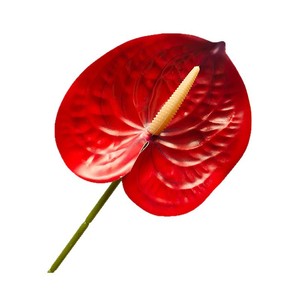 Flores Artificiales de Anturio 3D Wen Hope, Decoraciones de Plástico para Bodas, Accesorios para el Hogar y Exteriores - Product Image 5