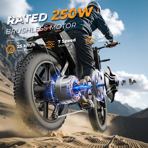 Varun 6-level 20" Fat Tire E-bike 31.5ah Long Range Ce Compliant 250w Eu Factory Direct All-terrain Rides X-plorer - Product Image 6