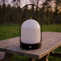 Lampe de table d'ambiance de style nordique inspirée d'Instagram, petite, pour salon, coin canapé, chevet, avec interrupteur tactile, portable, en PE, pour bureau