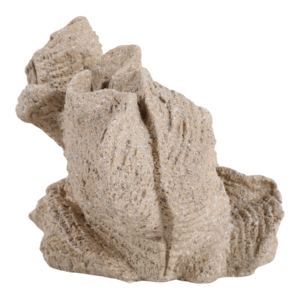 Statuetta in Resina a Forma di Conchiglia con Finitura Effetto Sabbia, Decorazione Costiera per Casa, Bagno, Ufficio, Soggiorno, Esposizione su Scaffale - Product Image 5