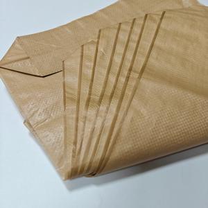 25kg 50kg Bolsa de válvula vacía Bolsa de <span class=keywords><strong>cemento</strong></span> Pp - Product Image 5