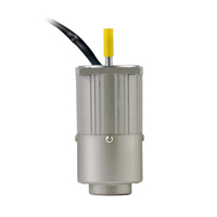 Moteur à induction monophasé LUNYEE 40W 9,3 tr/min 20 Nm 220 V CA avec boîte de vitesses en stock pour l'automatisation industrielle