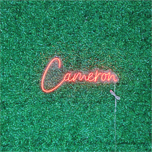 Koncept Drop Shipping 20 pollici segno di nome decorazione segnaletica personalizzabile LED al Neon segno personalizzato per la decorazione pubblicitaria - Product Image 4