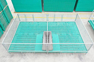 Paridera para cerdas con piso de hierro fundido galvanizado en caliente, sistema de alimentación automático, jaula profesional para cría de cerdos para granja - Product Image 2