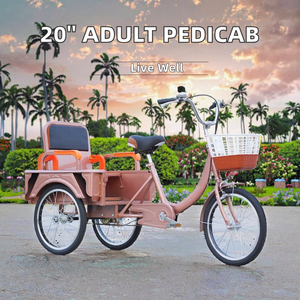 รถสามล้อไฟฟ้าปี 2021 แบตเตอรี่ลิเธียมสำหรับบรรทุกสินค้า ตัวถัง<span class=keywords><strong>เปิด</strong></span> มอเตอร์ 250 วัตต์ ระยะทาง 30-50 กม. ยางทนทาน น้ำหนักเบา - Product Image 3