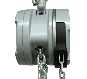 Nhà sản xuất-bán 2 tấn Hướng dẫn sử dụng chuỗi khối Palăng thiết bị mới cho 10 tấn cho trang trại sân khấu nhà hàng khách sạn 3M chiều cao 5t - Product Image 5