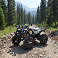 Nouveau Buggy Tout-Terrain 4x4 125-150cc 2026 à Moteur Essence Manuel EFI Robuste Certifié EPA/ECE pour le Sable