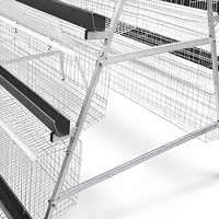 Système de cage à poules pondeuses automatique à 4 niveaux en forme de A, équipement d'élevage avicole