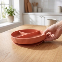 Assiette incassable pour bébé Assiette d'aspiration pour tout-petits Assiette divisée en silicone pour enfants