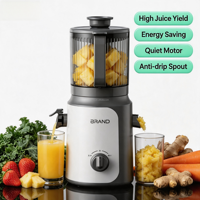 350W DC Elektrische Slow Cold Press Heavy Duty Sapcentrifuge Multifunctionele Smoothie Maker 2.5L Vulopening Knopbediening Hoge Zelfreinigende Functie RV