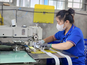 Eslingas de Elevación Industriales Personalizadas de Alta Capacidad de Carga, Eslinga Plana de Poliéster Roja de 5 Toneladas con Longitud Opcional, Hecha en Vietnam - Product Image 5