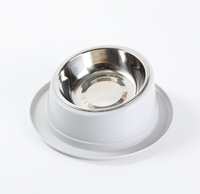 Gamelle inclinée anti-fourmis pour chat, accessoires pour animaux de compagnie, gamelle pour chien, récipient en acier inoxydable de qualité pour chats, fournitures pour animaux de compagnie
