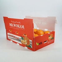 Boîte Wogan en polypropylène recyclable GreenTree, écologique, de qualité alimentaire, alternative super résistante aux boîtes en carton ondulé pour les courses