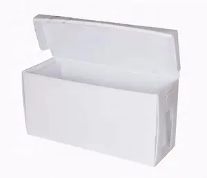 Factory Price PP Plastic nuc bee box/plastic bee box for hive of queen