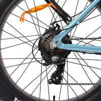 Vélo cargo électrique à trois roues JOYKIE 48V 750W, tricycle électrique avec moteur à moyeu arrière et batterie au lithium