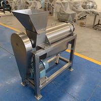 Extracteur de jus automatique multifonctionnel personnalisé de type vis à moteur 4KW pour radis et tomates