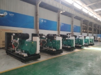 Heim-Erdgas- und Biogas-Generator mit 24V DC Elektrostart, Hoher Effizienz und Automatischer Synchronisation für Parallelbetrieb