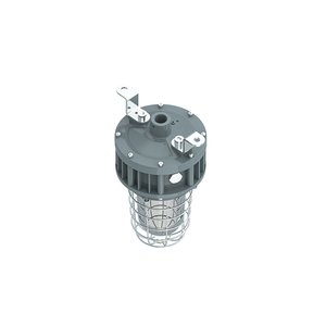 Luminaire anti-explosion en verre trempé de classe 1, division 1, avec protection en acier inoxydable, 20W/30W/40W, homologué UL ETL - Product Image 3