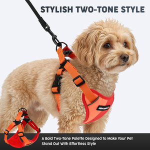 Nuevo Arnés para Perro Personalizado de Doble Tono, Anti-Escape, Reflectante, Transpirable, con Malla, Chaleco de Entrenamiento <span class=keywords><strong>en</strong></span> Forma de Y para Pasear <span class=keywords><strong>Perros</strong></span> - Product Image 4