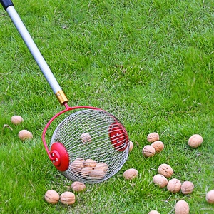 Ramasseur de Châtaignes en <span class=keywords><strong>Noix</strong></span> de Pécan en Acier Inoxydable Ramasseur de <span class=keywords><strong>Noix</strong></span> de Pécan à Boule à Roulettes Cueilleur de Fruits Cueilleur de <span class=keywords><strong>Noix</strong></span> de Jardin Outil de Récolte de <span class=keywords><strong>Noix</strong></span> de Jardin - Product Image 5