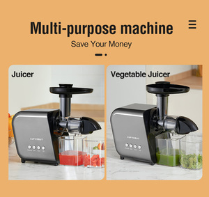 Exprimidor de boca ancha sin BPA, de venta caliente, de prensado en frío lento, con potencia de 250W, exprimidor horizontal de prensado lento - Product Image 4