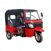 Tricycle électrique DUDU à carrosserie ouverte, bus touristique, voiture à 3 roues très vendue