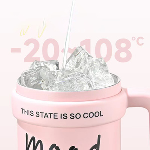 Custom Insulated Pink Stainless Steel American Style Vacuum <b>Flask</b> Tumbler <b>Straw</b> Cap Travel Use Thermo Handle 30OZ Camping - Product Image 4