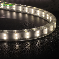 Advance haute luminosité SMD 2835 LED bande lumineuse flexible boîtier en PVC étanche 220V 230V AC bande flexible paysage télécommande