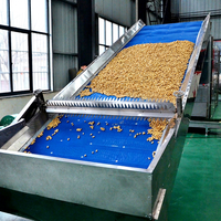 Équipement de séchage professionnel OEM pour la transformation des prunes, séchage des fruits, sécheuse à bande continue en maille