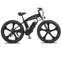 Sepeda Gunung, Paling Menarik Bingkai Paduan Aluminium Sepeda Lemak Pantai Cruiser Sepeda Ban Besar Sepeda Gunung 1000W 48V E Sepeda untuk Dewasa