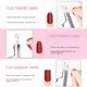 Professional DIY French <b>Nail</b> Art Straight Cut U-Shaped Stainless Steel Clipper Extended Shaping <b>Tool</b> for Beauty Use - Product Image 4